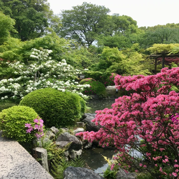 japon