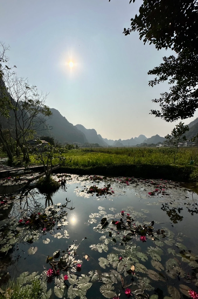 Vietnam