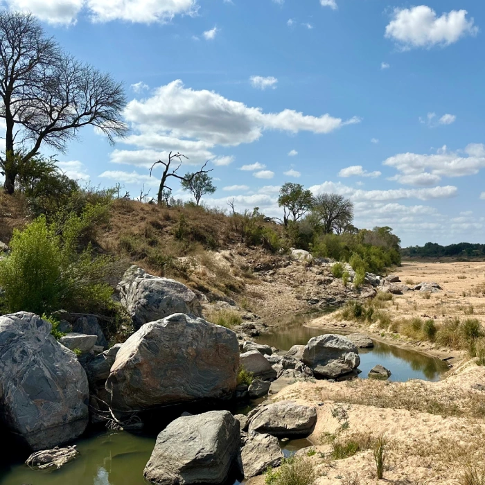 voyage immersif afrique du sud