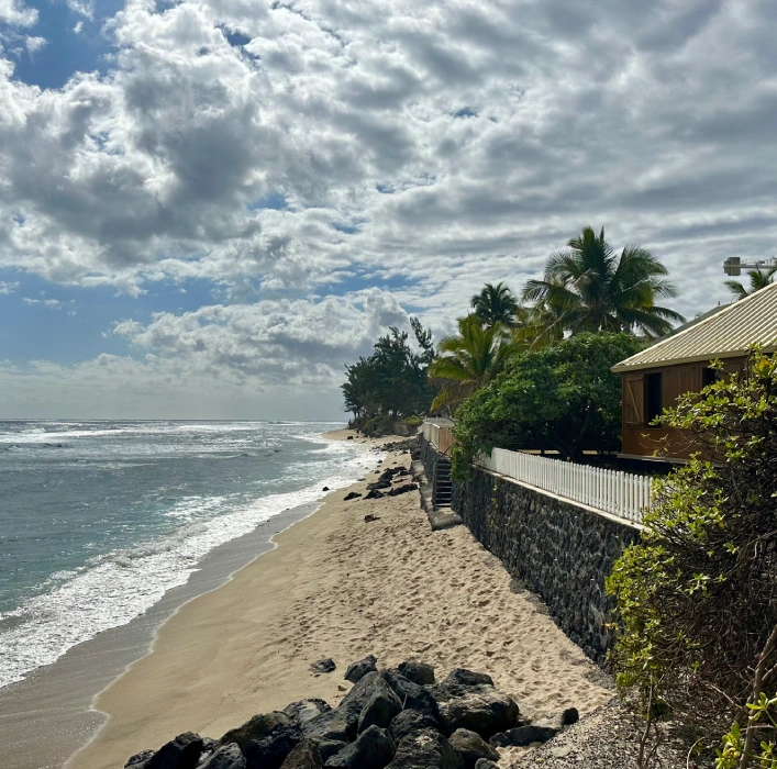 Voyage immersif La Reunion
