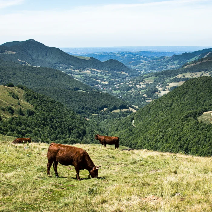 VOYAGE EN FRANCE