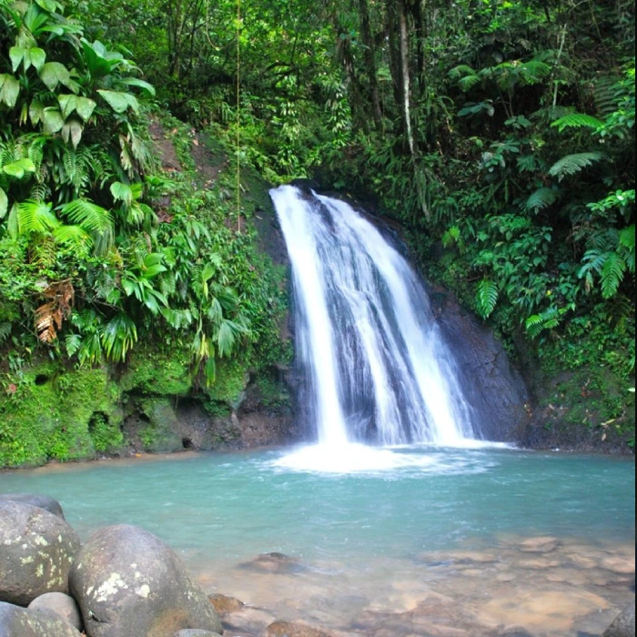 Cascade