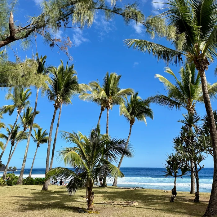 Voyage immersif La Reunion
