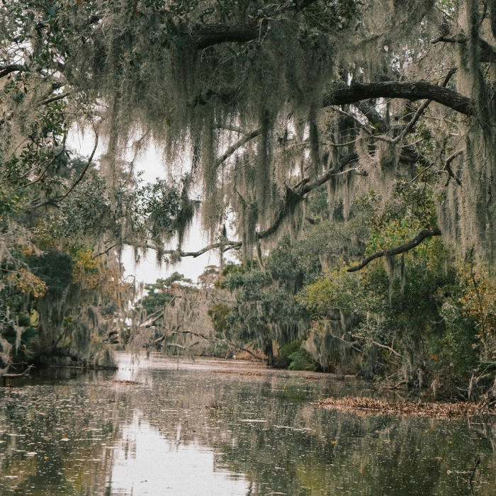 BAYOU