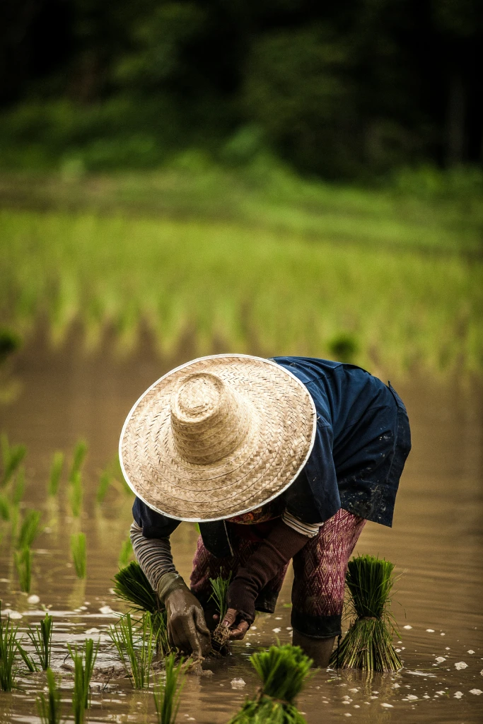 Thaïlande
